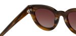 brown-tortoise-brown-gradient-full-rim-cat-eye-john-jacobs-jj-tints-jj-s14984-c3-sunglasses_g_3280_7_28_22