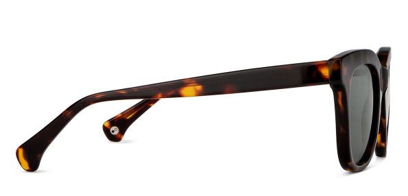 tortoise-green-full-rim-cat-eye-john-jacobs-jj-tints-jj-s14672-c3-sunglasses_g_2651_5_25_22